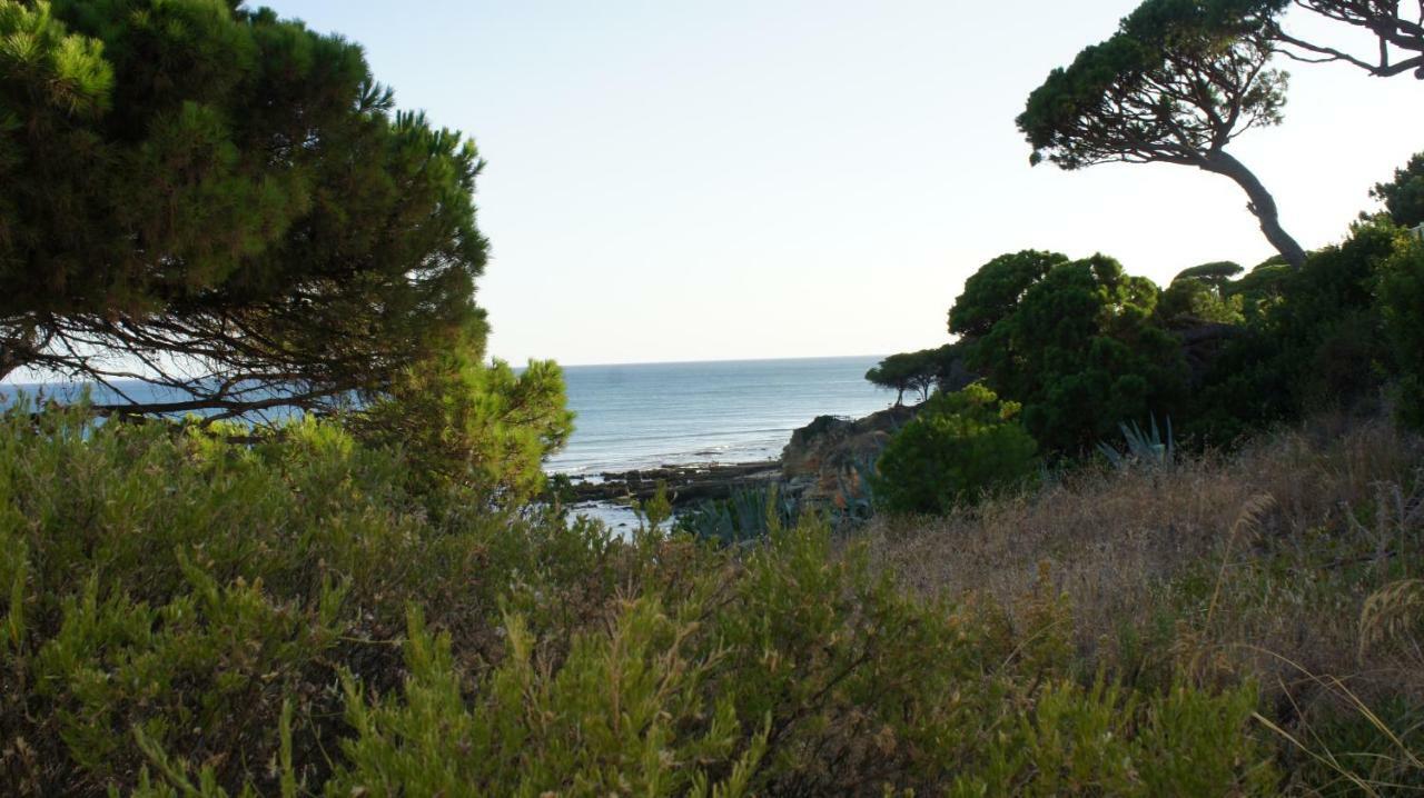 Luxurious T2 Apartment, Olhos Dagua Albufeira Kültér fotó
